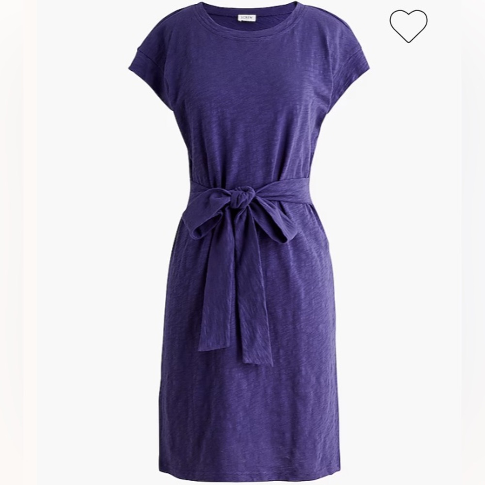 J. Crew Knit Tie Waist Mini Dress